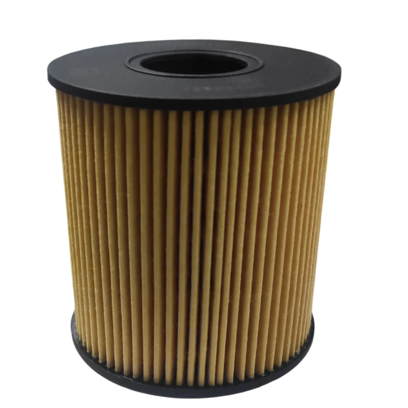FILTRO ACEITE JAC T8 2