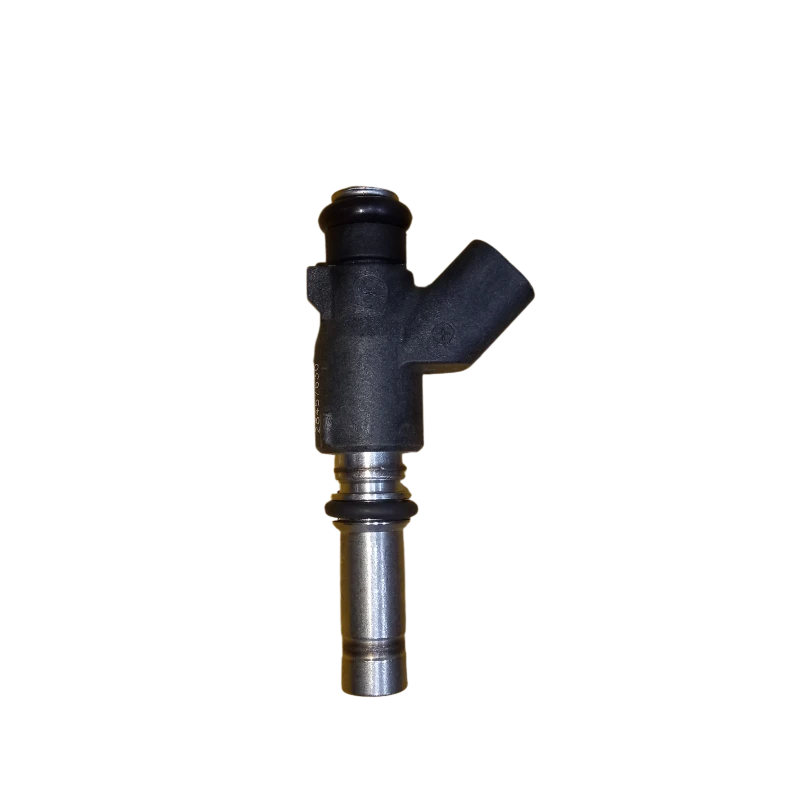 INYECTOR JAC T8 GASOLINA 2