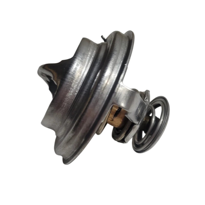 TERMOSTATO SANY YC4D140-33 1