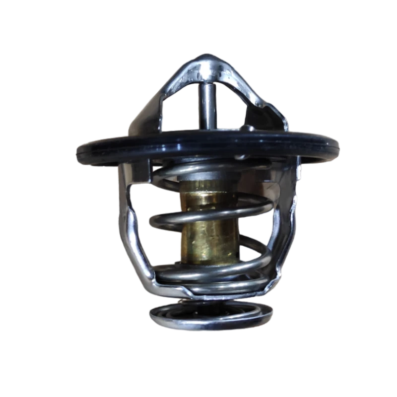 TERMOSTATO ZNA ZD25T5 1