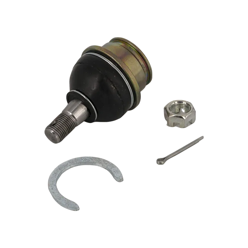 MUNON MESETA FR JAC T6 INF LH/RH 1