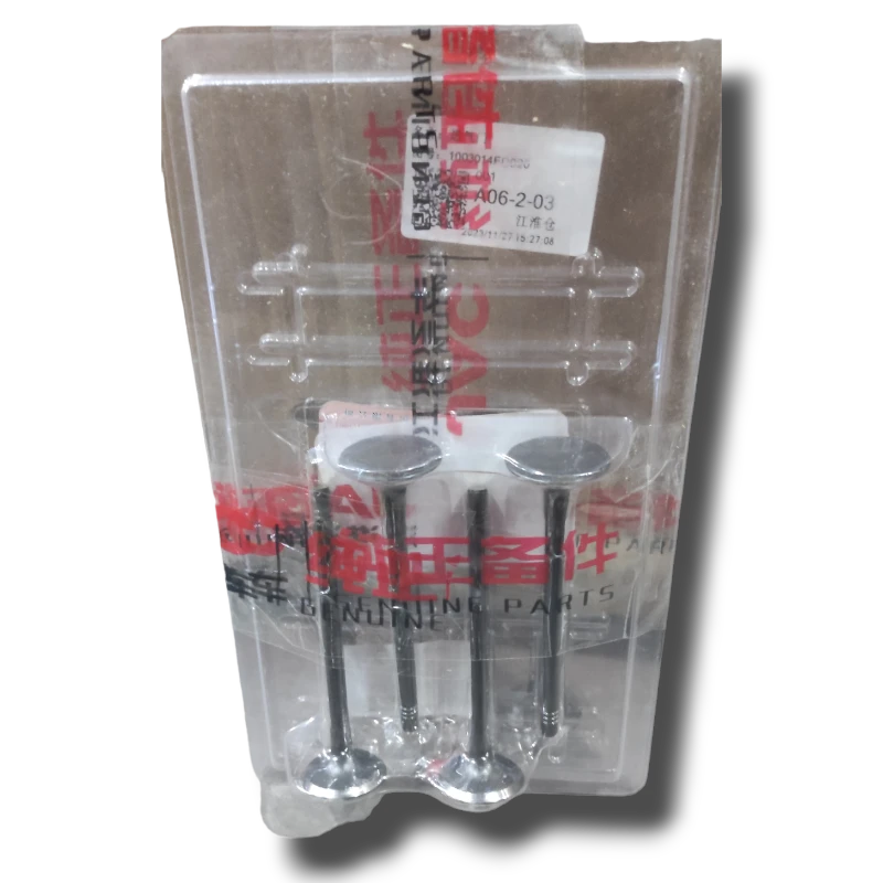 VALVULA MOTOR ADM (SET) JAC T8 1