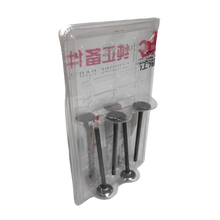 VALVULA MOTOR ESC (SET) JAC T8 1