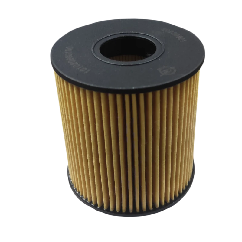 FILTRO ACEITE JAC T8 1