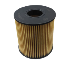 FILTRO ACEITE JAC T8 1