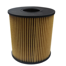 FILTRO ACEITE JAC T8 2