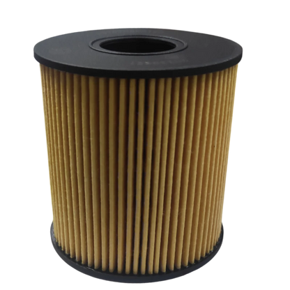 FILTRO ACEITE JAC T8 2
