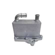 SERPENTIN MOTOR DFM ZNA M9T 2