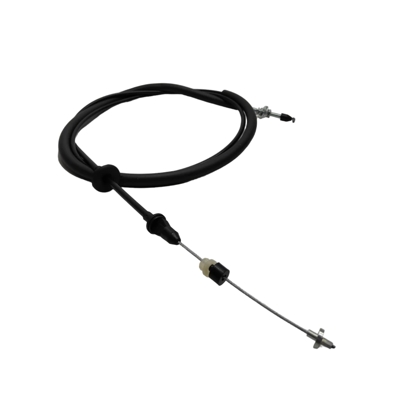GUAYA ACELERACION JAC 1061 2
