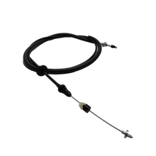 GUAYA ACELERACION JAC 1061 2