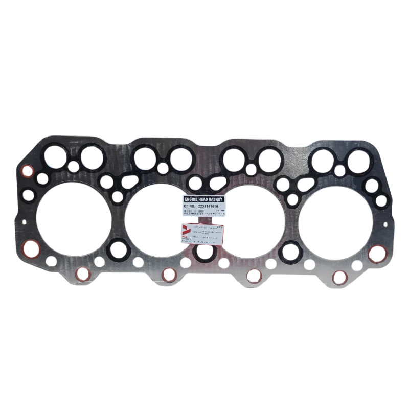 EMPACADURA CAMARA HD 65/72 1