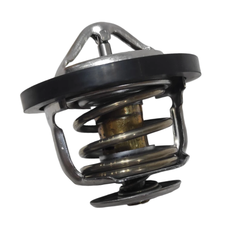 TERMOSTATO QQ16V 1