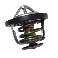 TERMOSTATO QQ16V 1