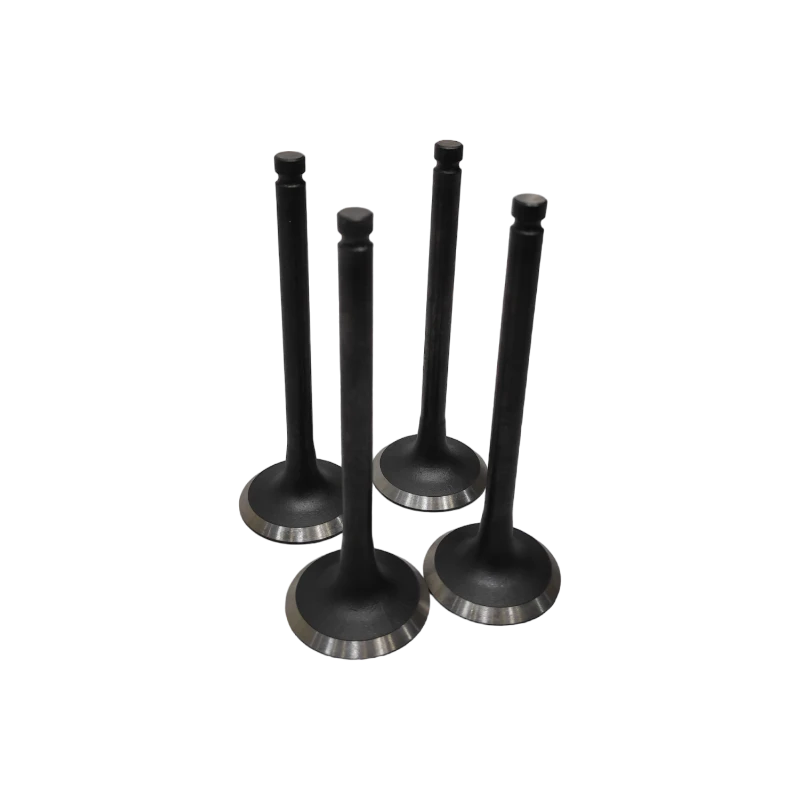 VALVULA MOTOR ADM (SET) JAC 1061 1
