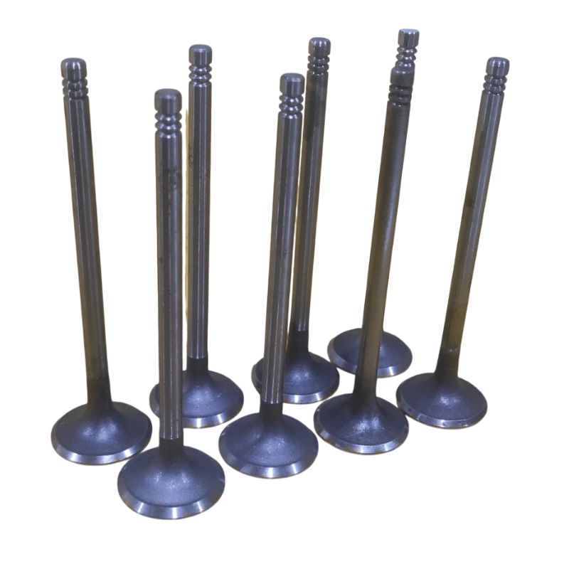 VALVULA MOTOR ADM (SET) ARAUCA 1