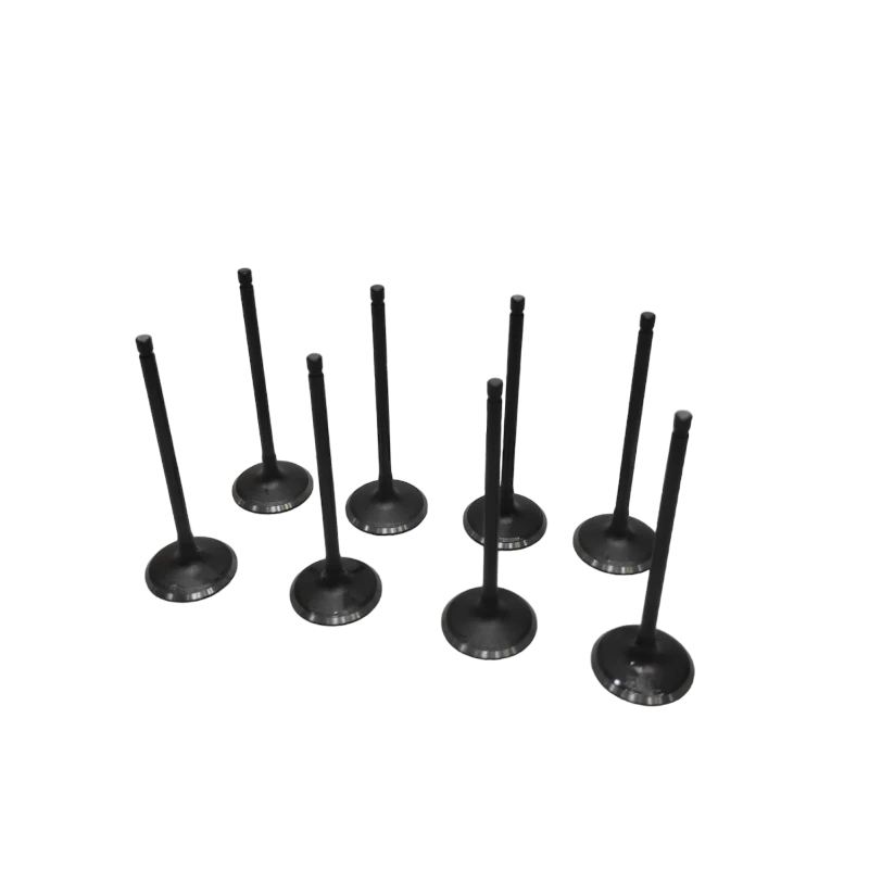VALVULA MOTOR ADM (SET) HAYMA7 1