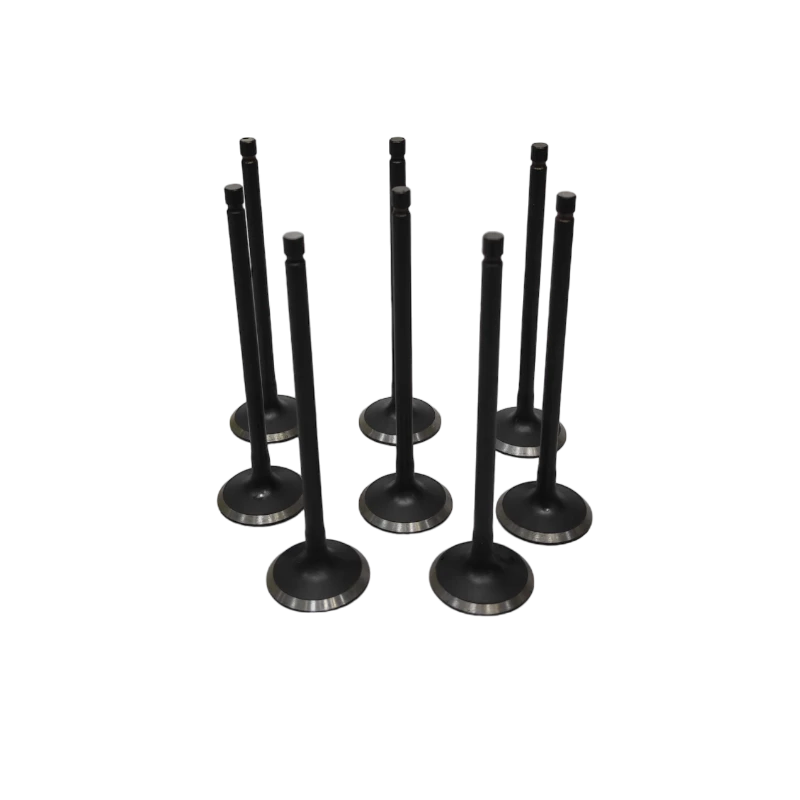 VALVULA MOTOR ESC (SET) HAYMA7 1