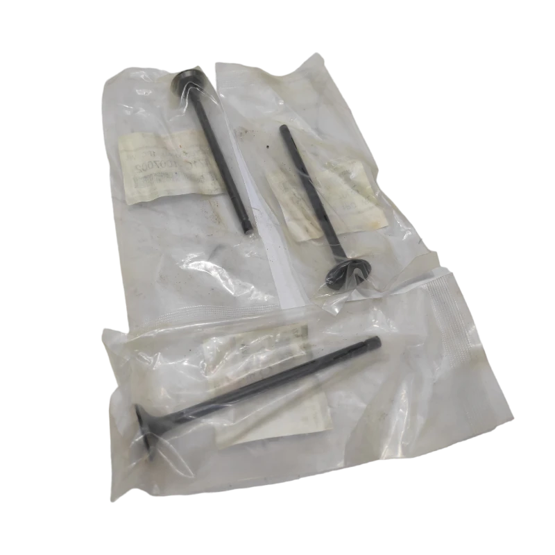 VALVULA MOTOR ADM (SET) ZX 1