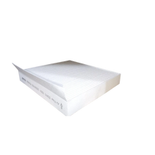 FILTRO ANTIPOLEN MAXUS T60 D20 2.0 1