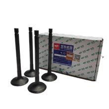 VALVULA MOTOR ADM (SET) JINBA 3.5 T/XIOB 2