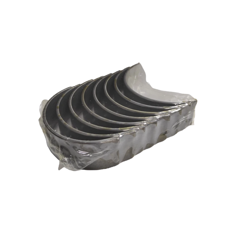 CONCHAS BIELA HAYMA7 1
