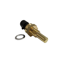 SENSOR TEMP ZNA (2 PIN) 2