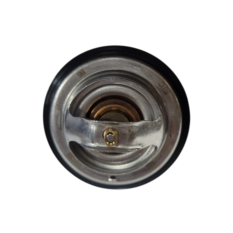 TERMOSTATO DFM 460 1