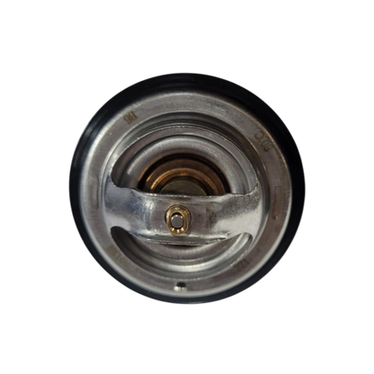 TERMOSTATO DFM 460 1