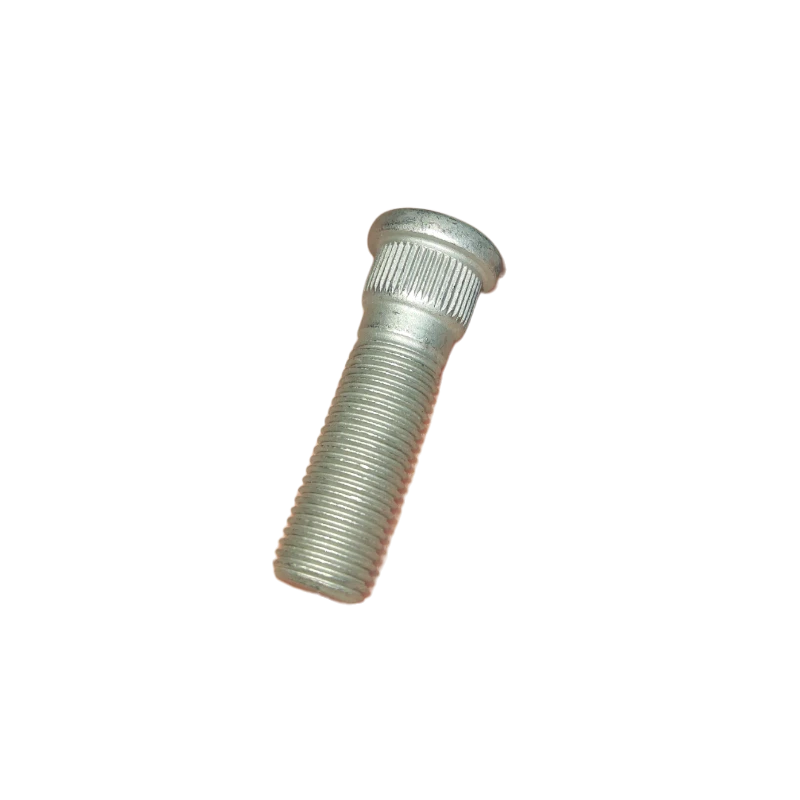 ESPARRAGO CHERY ARAUCA 1