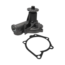 BOMBA AGUA GRAND TIGER 4X4 1