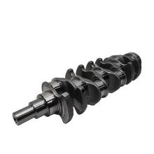 CIGUENAL DFM ZNA ZD25T5 2