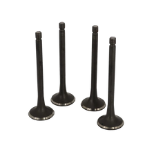 VALVULA MOTOR ESC (SET) JAC 1040 1