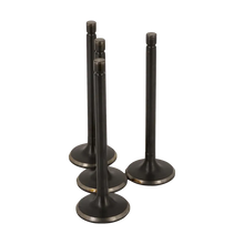 VALVULA MOTOR ADM (SET) JAC 1040 1