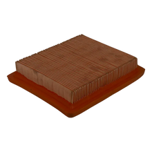 FILTRO AIRE 6360 2