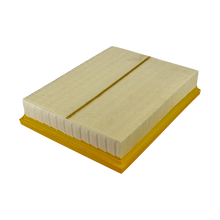 FILTRO AIRE DFM ZNA ZD25T5 2