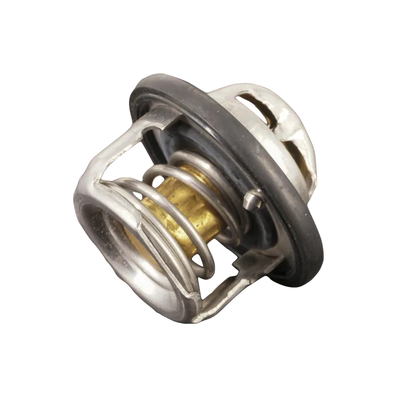 TERMOSTATO QQ8V 1