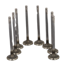 VALVULA MOTOR ESC (SET) A-520 1
