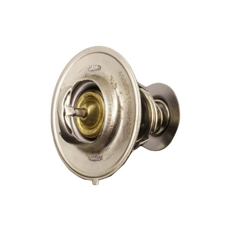 TERMOSTATO DUOLIKA 5T/7T 1
