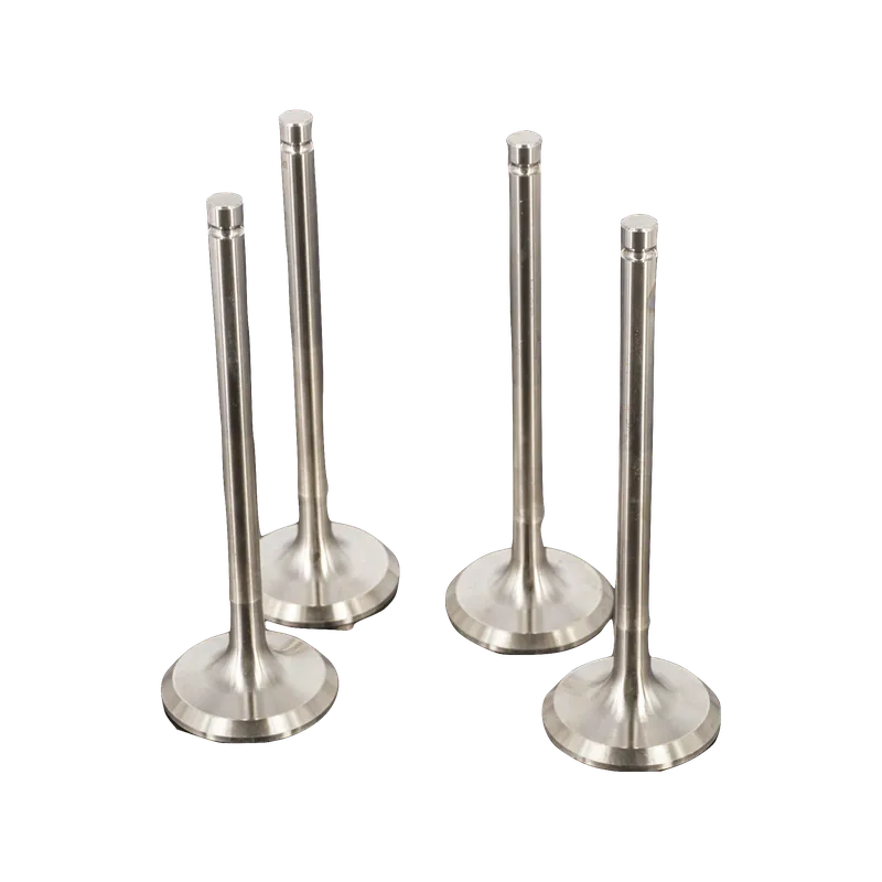 VALVULA MOTOR ESC (SET) DUOLIKA 5T/7T 1