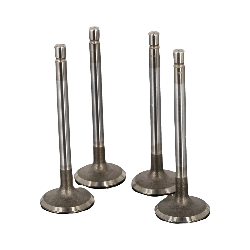 VALVULA MOTOR ADM (SET) JINBA 3.5 T/XIOB 1