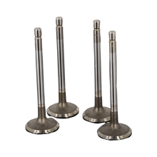 VALVULA MOTOR ADM (SET) JINBA 3.5 T/XIOB 1