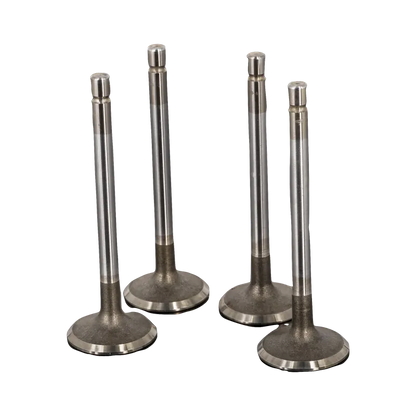 VALVULA MOTOR ADM (SET) JINBA 3.5 T/XIOB 1